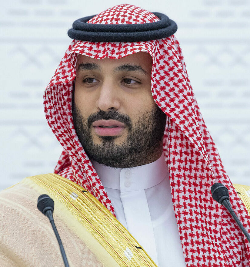 萨勒曼（Mohammed bin Salman ），顾问